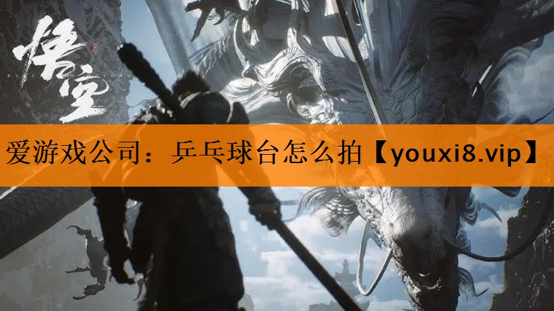 爱游戏公司：乒乓球台怎么拍