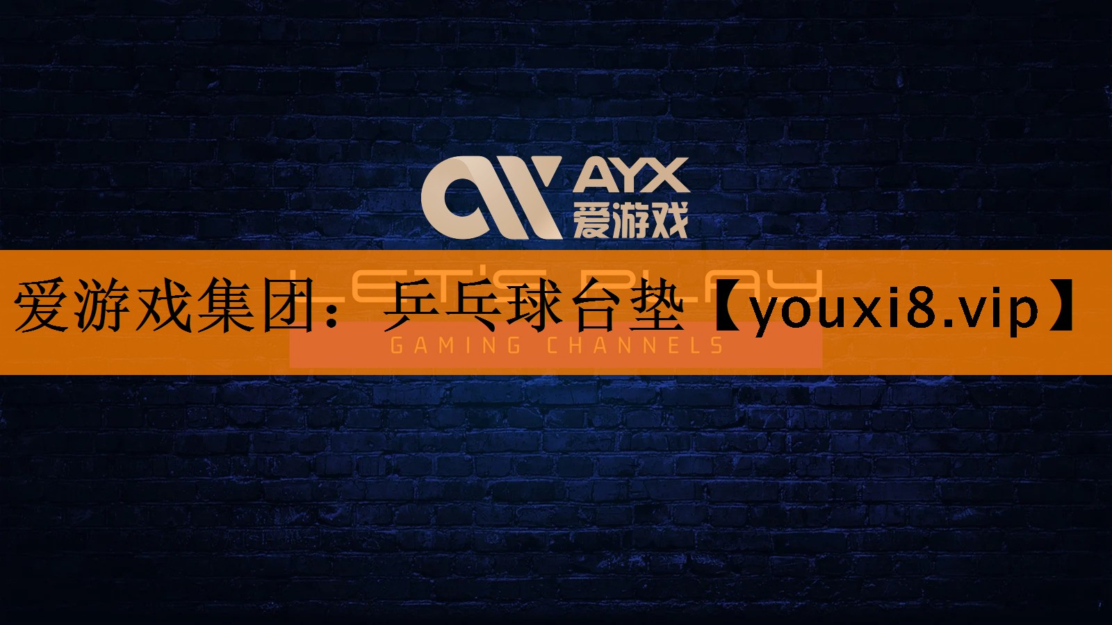 爱游戏集团：乒乓球台垫