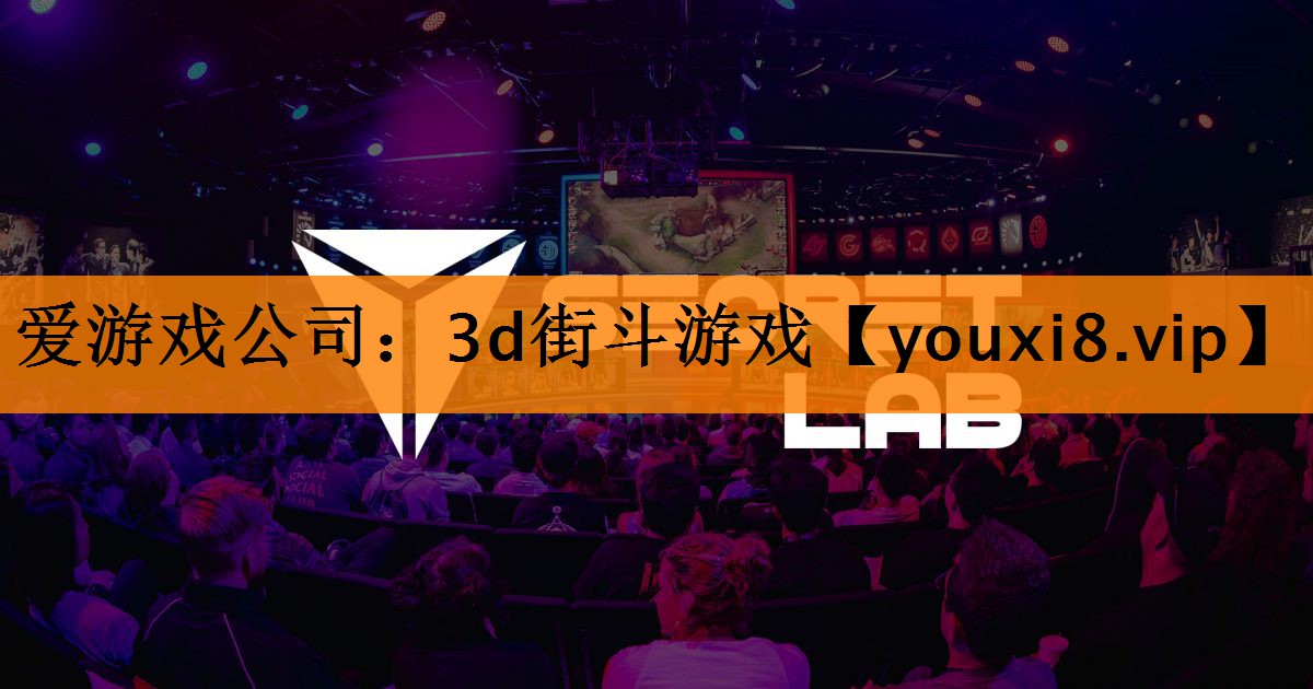 爱游戏公司：3d街斗游戏