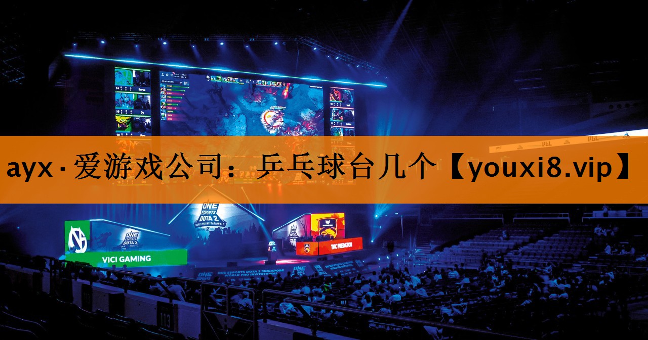 ayx·爱游戏公司：乒乓球台几个