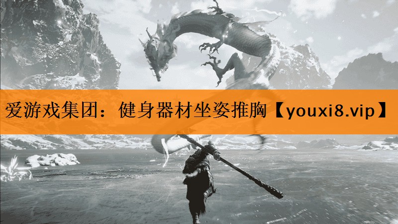 爱游戏集团：健身器材坐姿推胸
