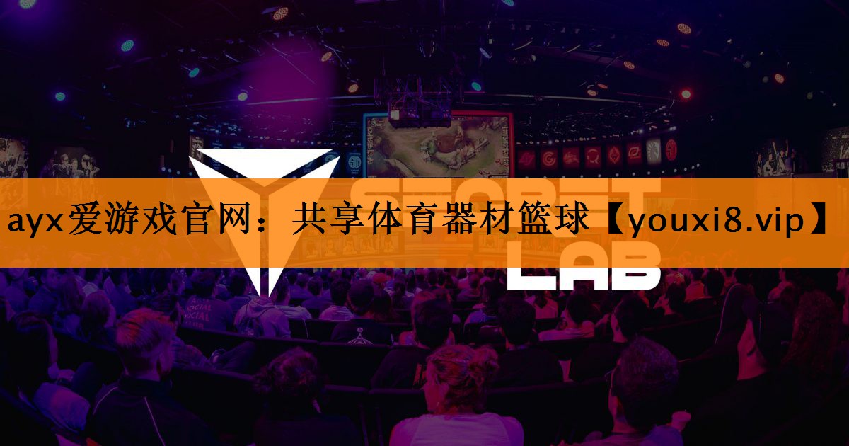 ayx爱游戏官网：共享体育器材篮球