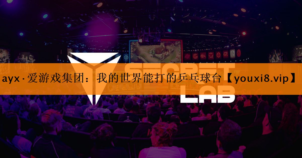 我的世界能打的乒乓球台 我的世界能打的乒乓球台