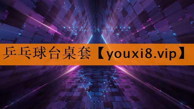 乒乓球台桌套 乒乓球台桌套
