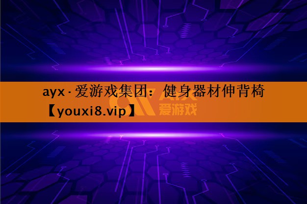 健身器材伸背椅 健身器材伸背椅