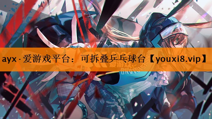 可拆叠乒乓球台 可拆叠乒乓球台