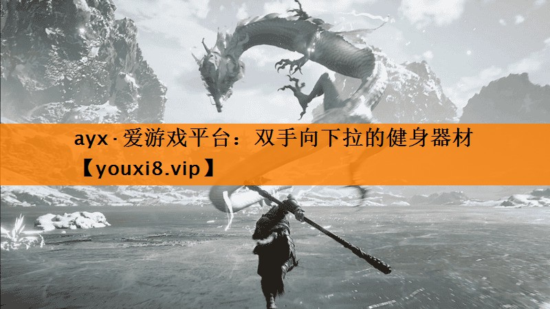双手向下拉的健身器材 双手向下拉的健身器材