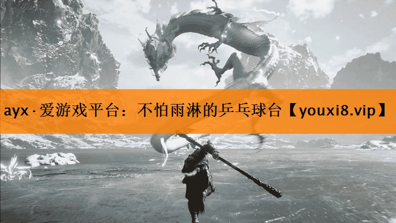 不怕雨淋的乒乓球台 不怕雨淋的乒乓球台