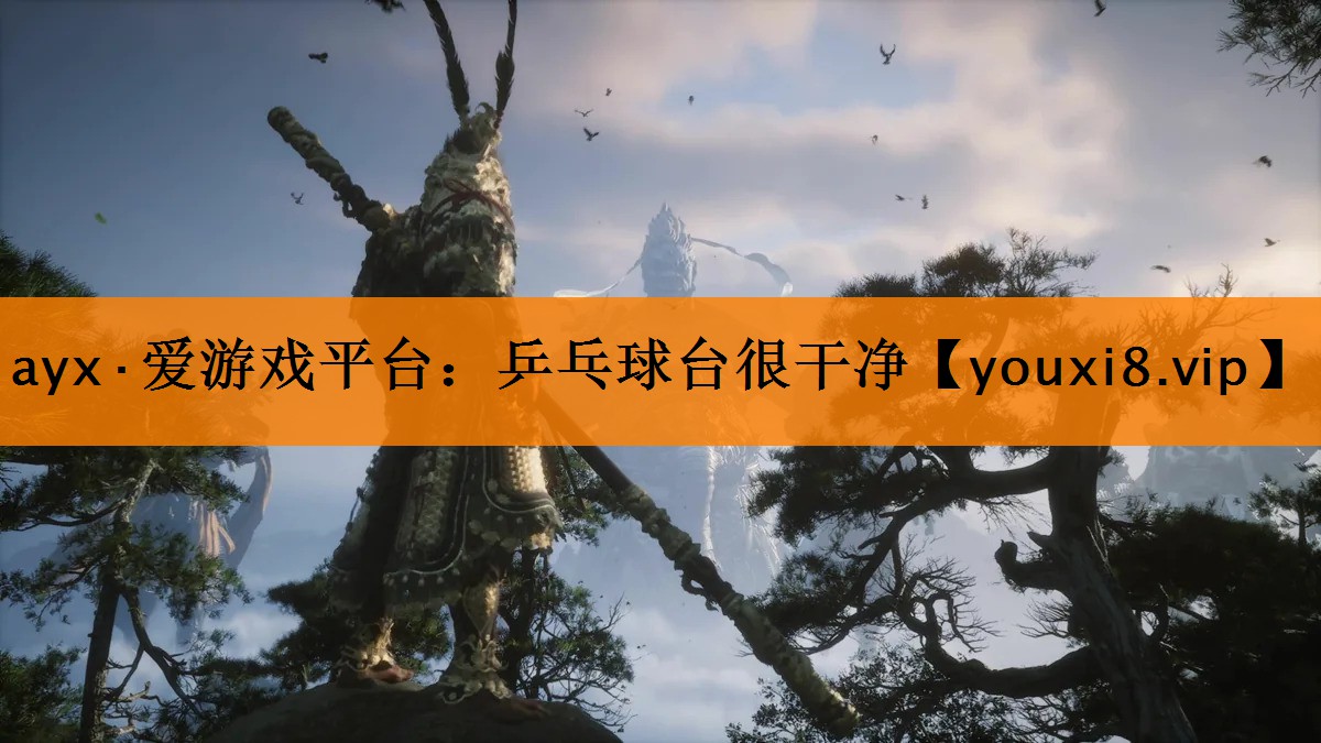 乒乓球台很干净 乒乓球台很干净