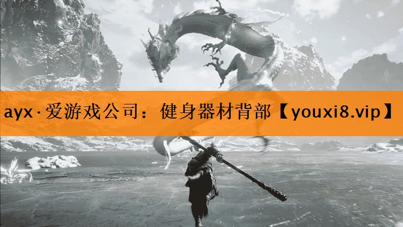 健身器材背部 健身器材背部