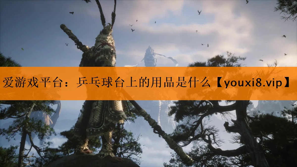乒乓球台上的用品是什么 乒乓球台上的用品是什么